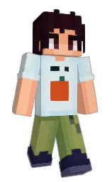 Slim Minecraft skin