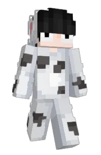 Front of CapGyro's skin