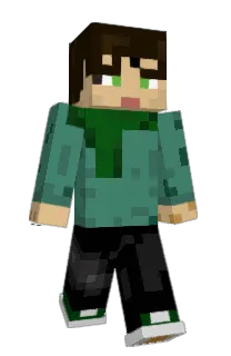 Front of Wizmark's skin