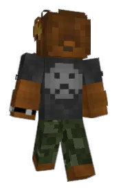 Skin preview