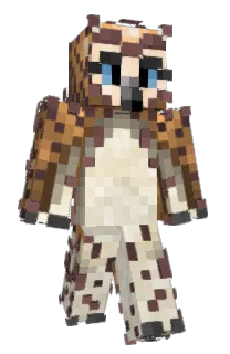Front of CURLYFELLA's skin