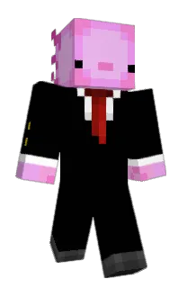MR___axolotl's Minecraft skin
