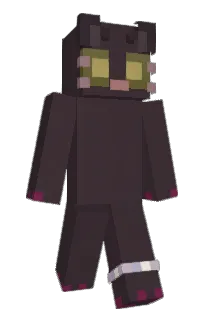 Front of disuso's skin