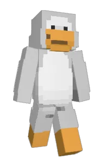 Front of fastidiio's skin