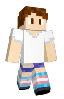 Front of Minecraft skin