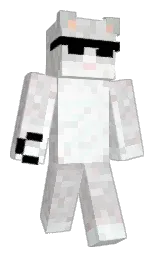 Minecraft skin — Classic model