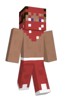 Front of Minecraft skin