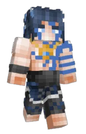 Skin preview
