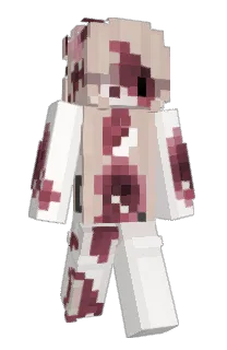 Zei11i's Minecraft skin
