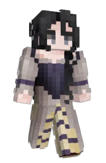 Front of raiscn's skin