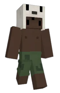Front of Minecraft skin