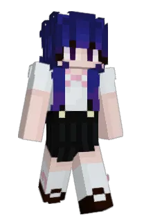 Flank243's Minecraft skin