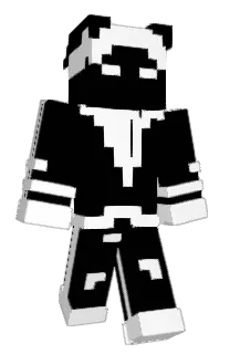 EinEinsamerRabe's Minecraft skin