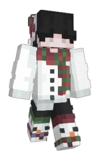 Front of Minecraft skin