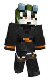 Skin preview