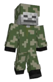 Skin preview