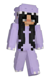 Front of wthj's skin