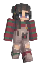 Skin preview
