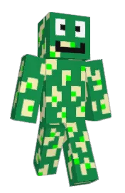 Skin preview