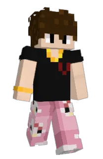 Front of _DarkAngle_'s skin