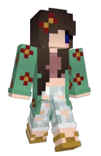 Front of Minecraft skin