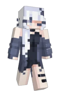 Front of Einnoob301's skin