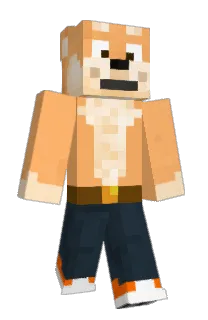 Front of Dukemeektiger105's skin
