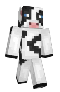Front of hitbrakesjake's skin