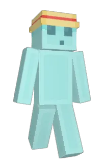 Front of Senior's skin