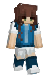 Front of GollyCat's skin