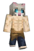 dumb_boii
