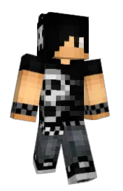 Skin preview