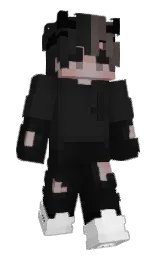 Minecraft skin — Classic model