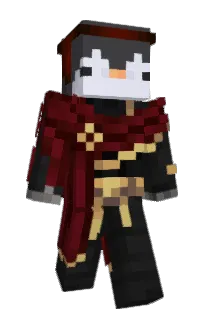 Front of whoispingu's skin