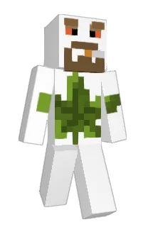 molokok's Minecraft skin