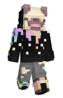 Front of puggley's skin
