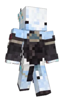Front of PleryX's skin