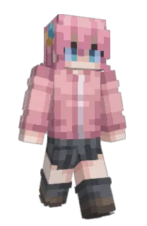 Front of sandwc's skin
