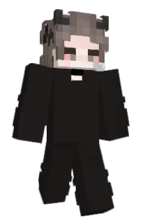 Front of Neidlose's skin
