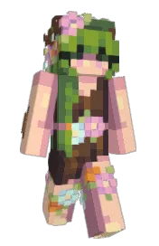 Skin preview