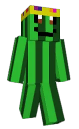 parsley and forest green Minecraft skin — Classic model