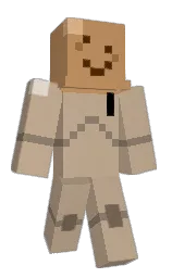 Minecraft skin — Classic model