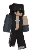 SouPatinha