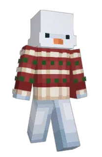 Front of MicroMember's skin