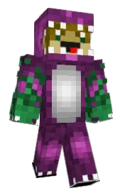 Skin preview