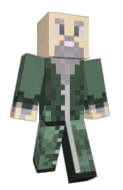 Skin preview