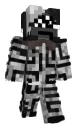 cod gray and white Minecraft skin — Classic model