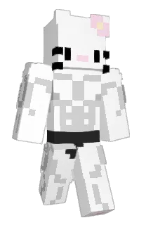 hgjnrthe1st's Minecraft skin