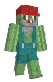 Skin preview