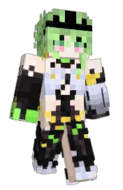 Skin preview